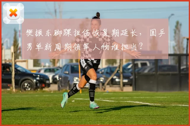 樊振东脚踝扭伤恢复期延长，国乒男单新周期领军人物谁担当？
