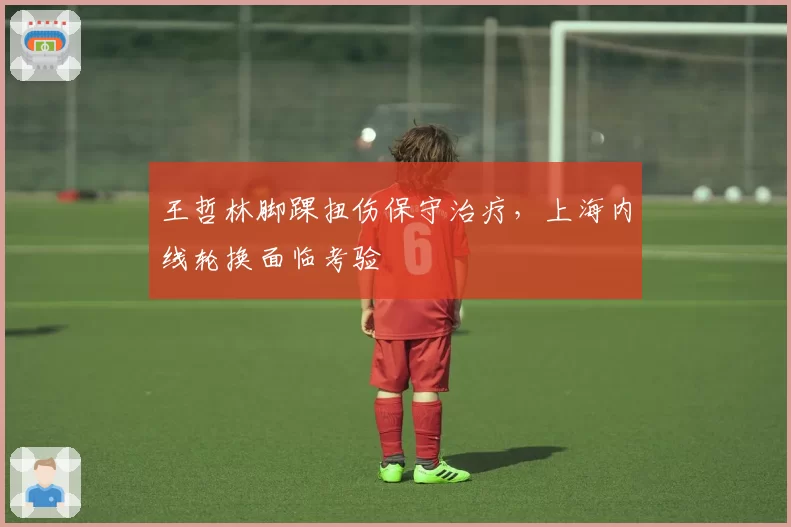 王哲林脚踝扭伤保守治疗，上海内线轮换面临考验