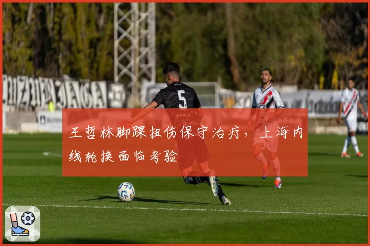 王哲林脚踝扭伤保守治疗，上海内线轮换面临考验