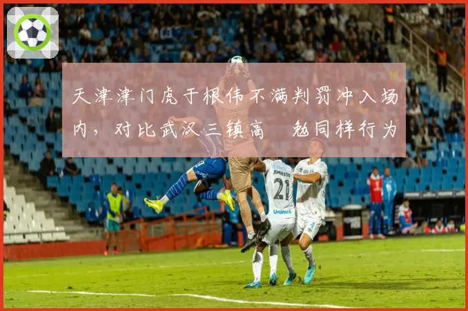 天津津门虎于根伟不满判罚冲入场内，对比武汉三镇高畠勉同样行为为何未被罚出场